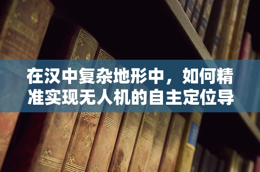 在汉中复杂地形中，如何精准实现无人机的自主定位导航？