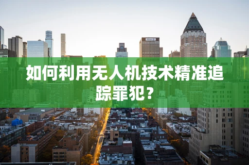 如何利用无人机技术精准追踪罪犯？