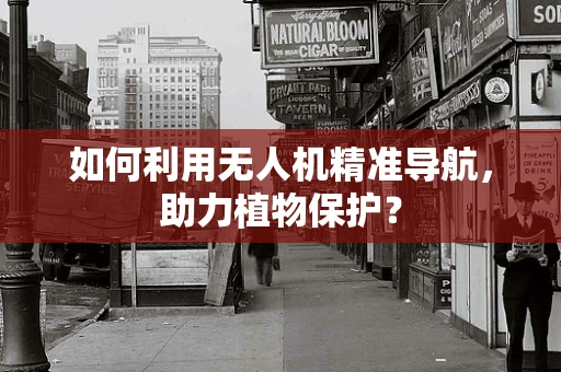 如何利用无人机精准导航，助力植物保护？