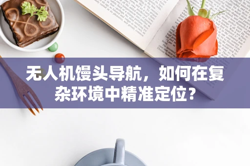 无人机馒头导航，如何在复杂环境中精准定位？