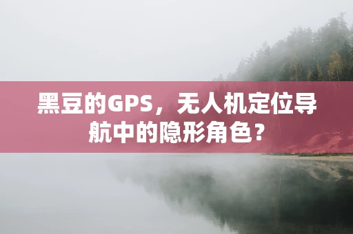 黑豆的GPS，无人机定位导航中的隐形角色？