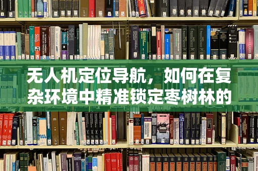 无人机定位导航，如何在复杂环境中精准锁定枣树林的甜蜜位置？