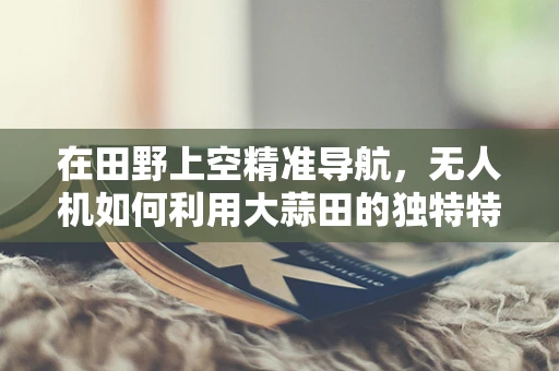 在田野上空精准导航，无人机如何利用大蒜田的独特特征实现精准定位？