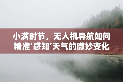 小满时节，无人机导航如何精准‘感知’天气的微妙变化？