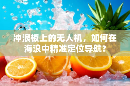 冲浪板上的无人机，如何在海浪中精准定位导航？