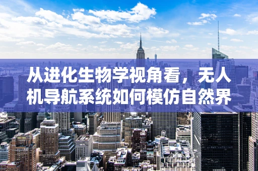 从进化生物学视角看，无人机导航系统如何模仿自然界的导航智慧？