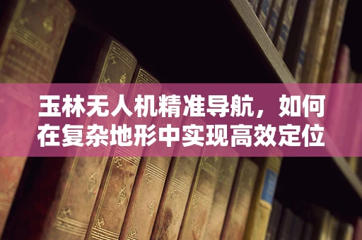 玉林无人机精准导航，如何在复杂地形中实现高效定位？