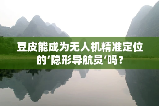 豆皮能成为无人机精准定位的‘隐形导航员’吗？