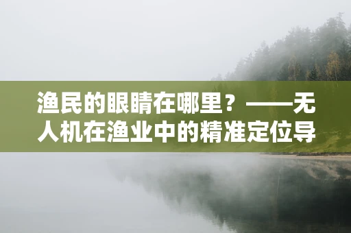 渔民的眼睛在哪里？——无人机在渔业中的精准定位导航挑战