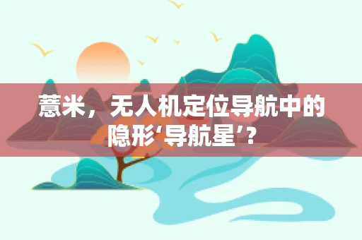 薏米，无人机定位导航中的隐形‘导航星’？