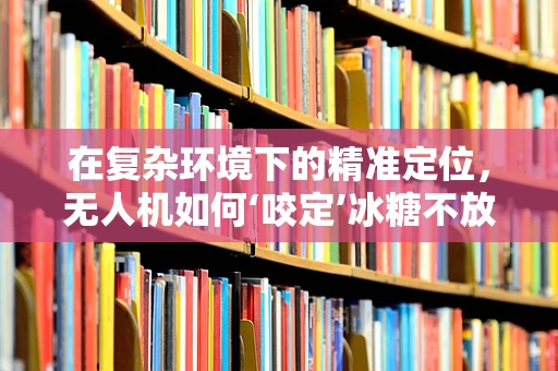 在复杂环境下的精准定位，无人机如何‘咬定’冰糖不放松？