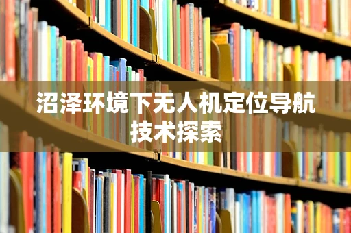 沼泽环境下无人机定位导航技术探索