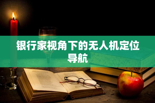 银行家视角下的无人机定位导航