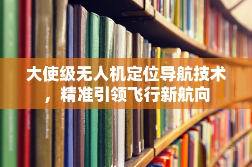 大使级无人机定位导航技术，精准引领飞行新航向