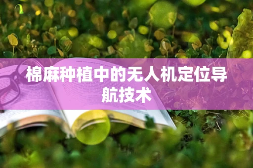 棉麻种植中的无人机定位导航技术